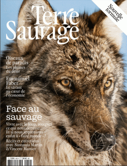 Terre Sauvage