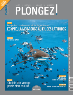 Plongez!