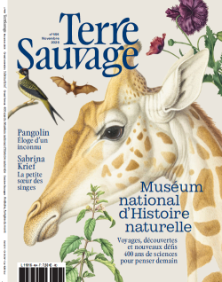 Terre Sauvage