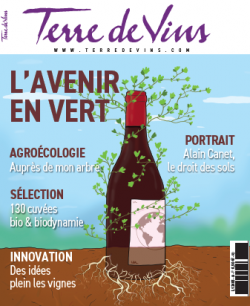 Terre de Vins