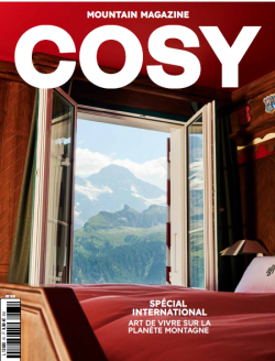 Cosy Mountain