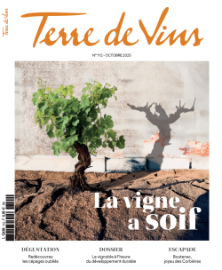 Terre de Vins