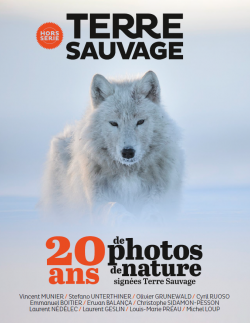 Terre Sauvage