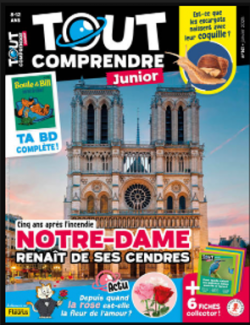Tout Comprendre Junior