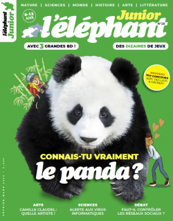 L'éléphant Junior