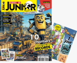 Science & Vie junior + supplément 