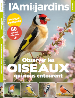 L'Ami des jardins hors-série