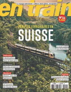 En train