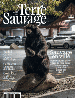 Terre Sauvage