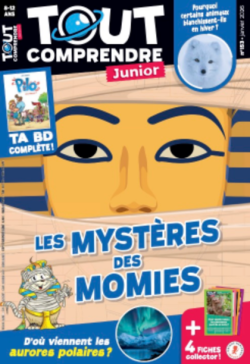 Tout comprendre junior